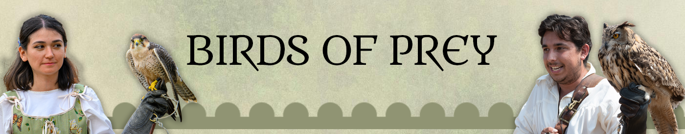 wmrf birds of prey website banner