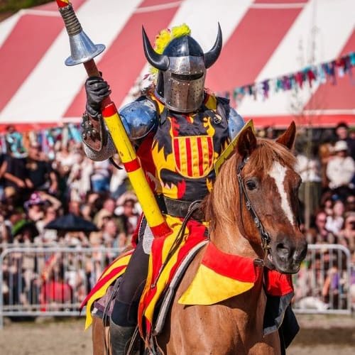 image_logo_square A knight riding in the jousting arena